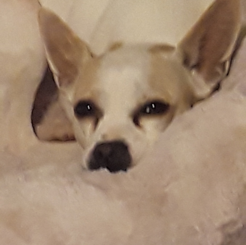 Casper